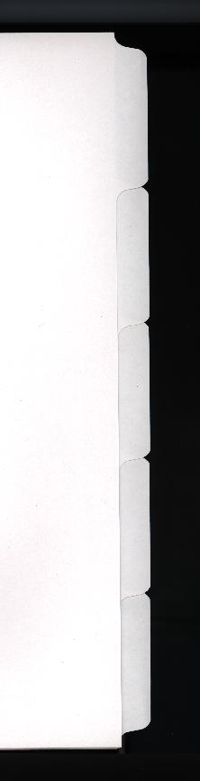 Blank Tabs.jpg (8650 bytes)